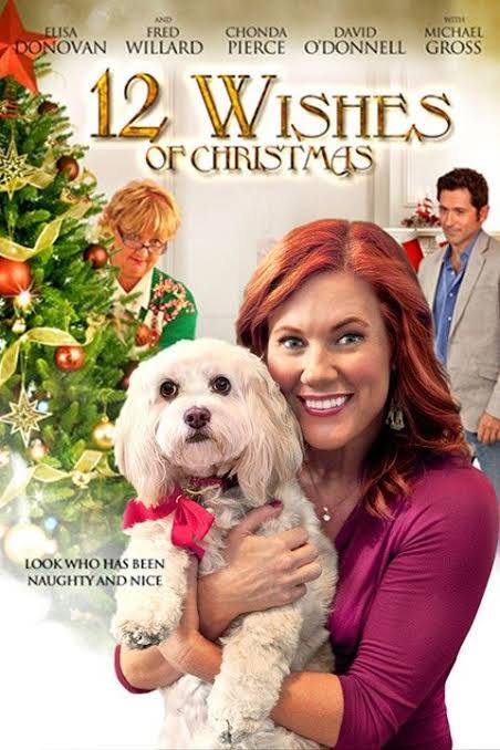 12 Christmas Wishes for My Dog (2011) DVD with Eliza Donovan (MY #7) in a DVD Case with cover art