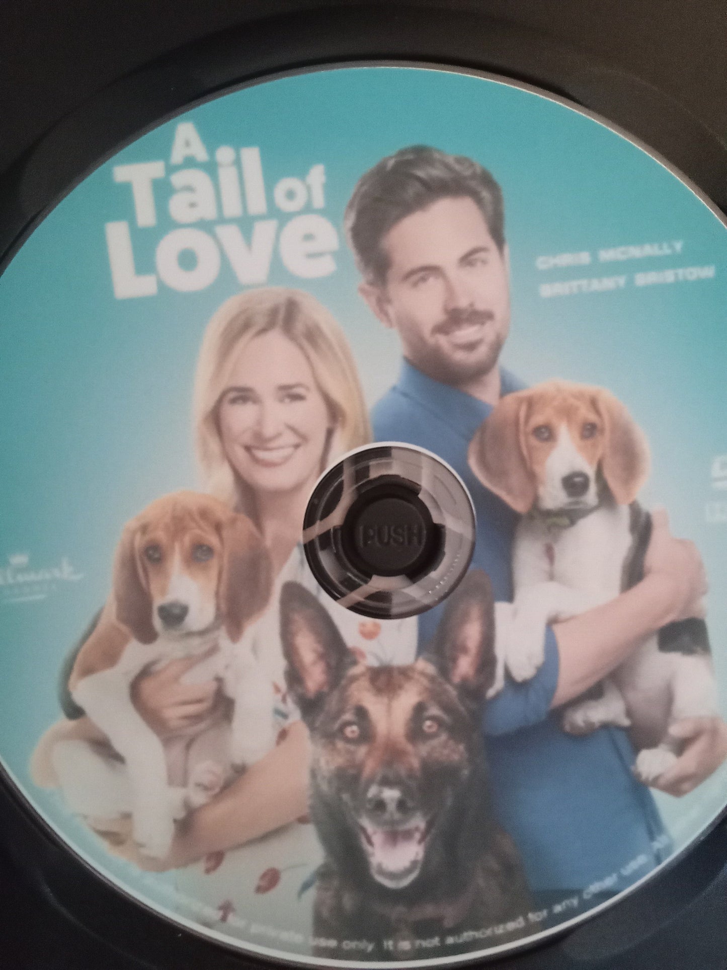 A Tail of Love (2022) DVD with Brittany Bristow & Chris McNally in a DVD case with cover art
