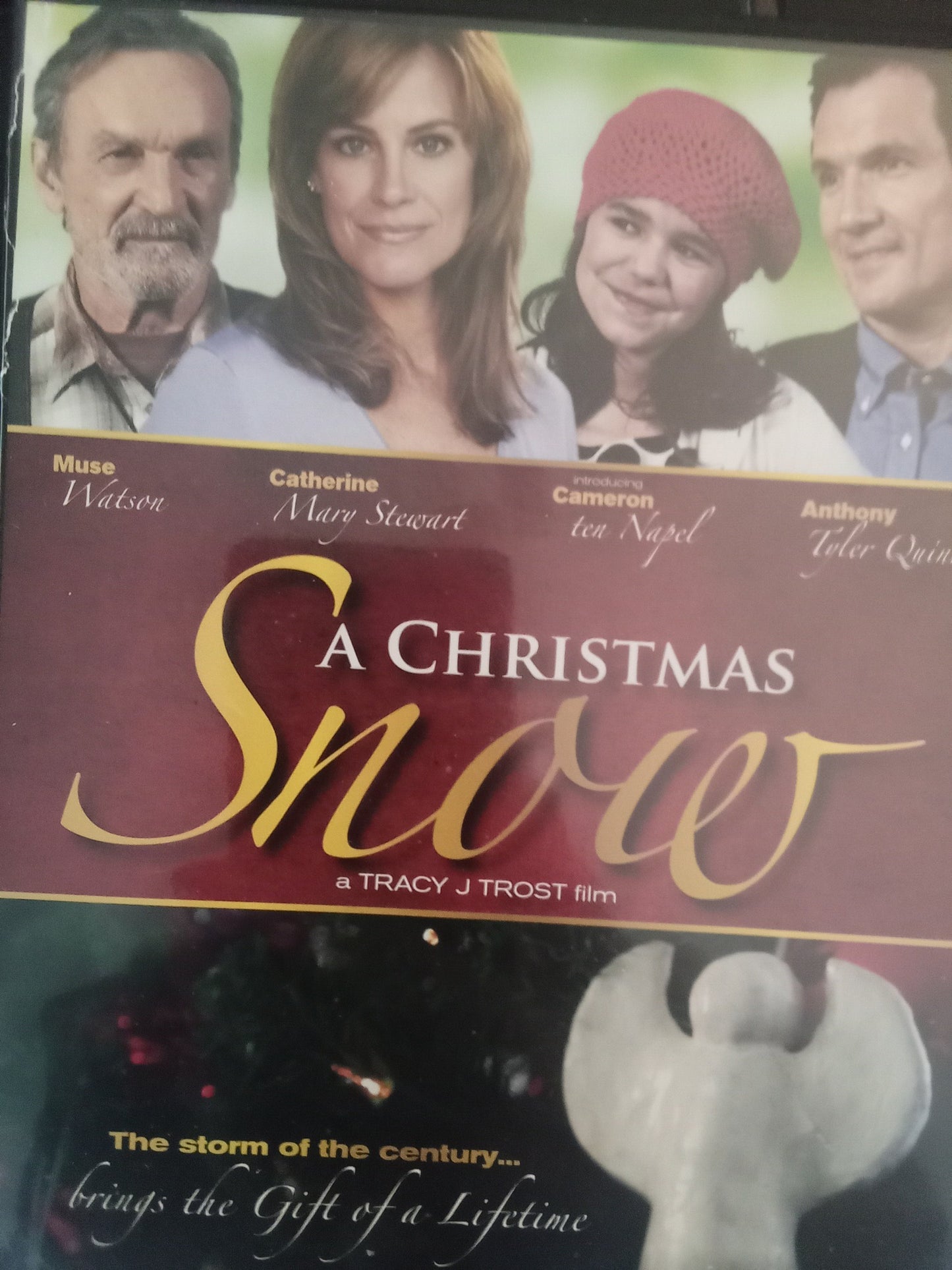 A Christmas Snow (2010) DVD with Catherine Mary Stewart (USED!!! Watched once)