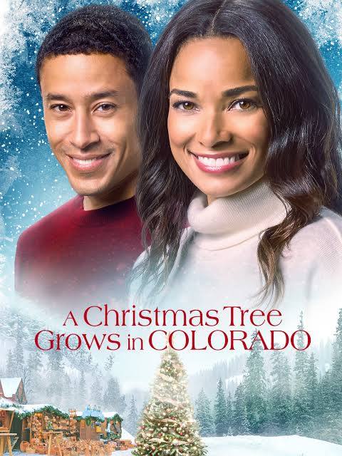 A Christmas Tree Grows in Colorado (2020) DVD with Rochelle Aytes & Matt Hamilton CLEARANCE $10.00