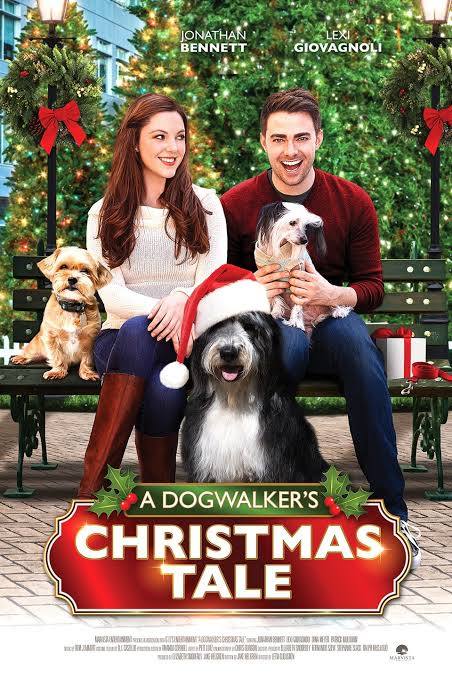 A Dogwalker's Christmas Tale (2015) DVD with Lexi Giovagnoli & Jonathan Bennett in a DVD CASE with COVER ART $14.99