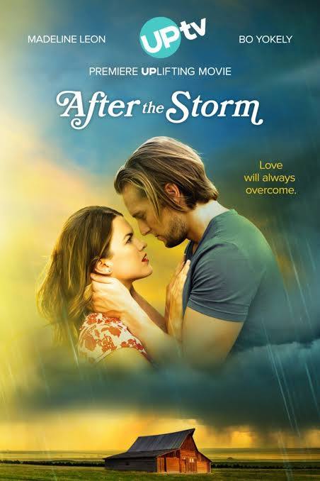 After The Storm (2019) DVD with Madeline Leon ***SALE***$11.00