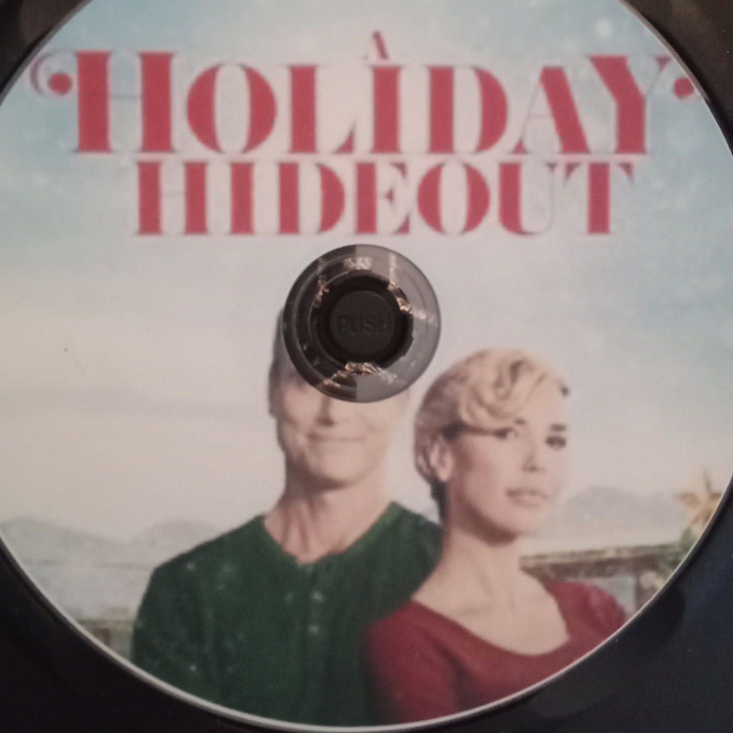 A Christmas Witness aka Holiday Hideout (2024) DVD with Arielle Kebel & Colin Egglesfield