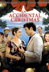 An Accidental Christmas (2007) DVD with Cynthia Gibb