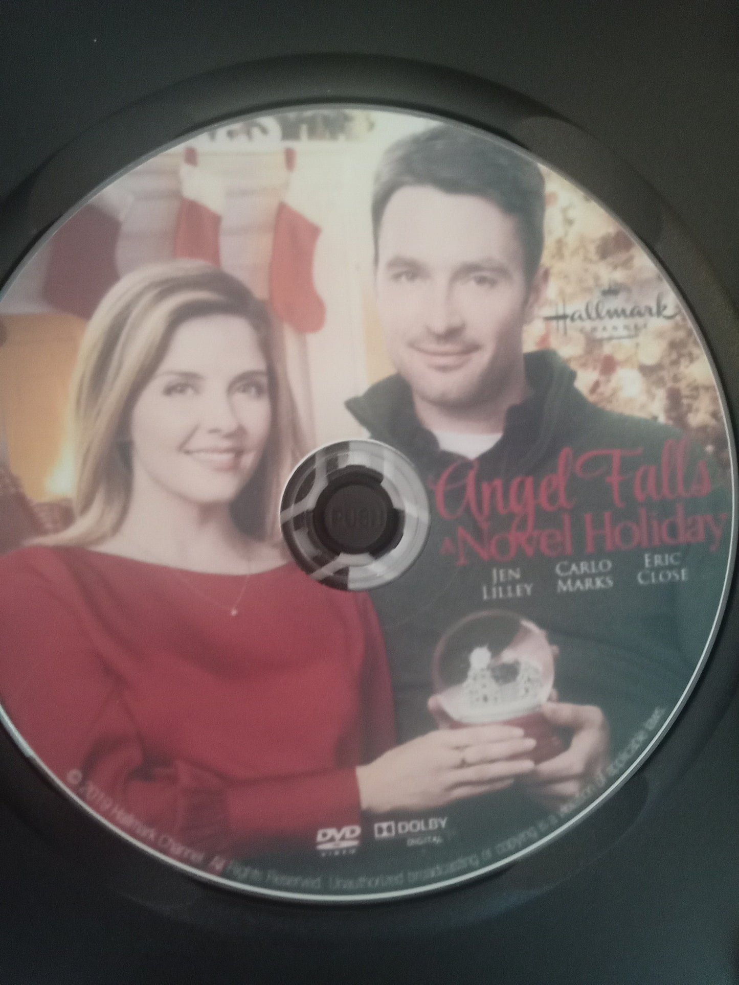 Angel Falls A Novel Holiday (2019) DVD with Jen Lilley in a DVD CASE with COVER ART