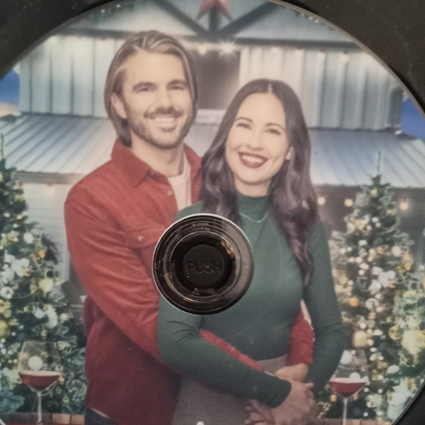 A Perfect Christmas Pairing (2023) DVD with Ansley Gordon