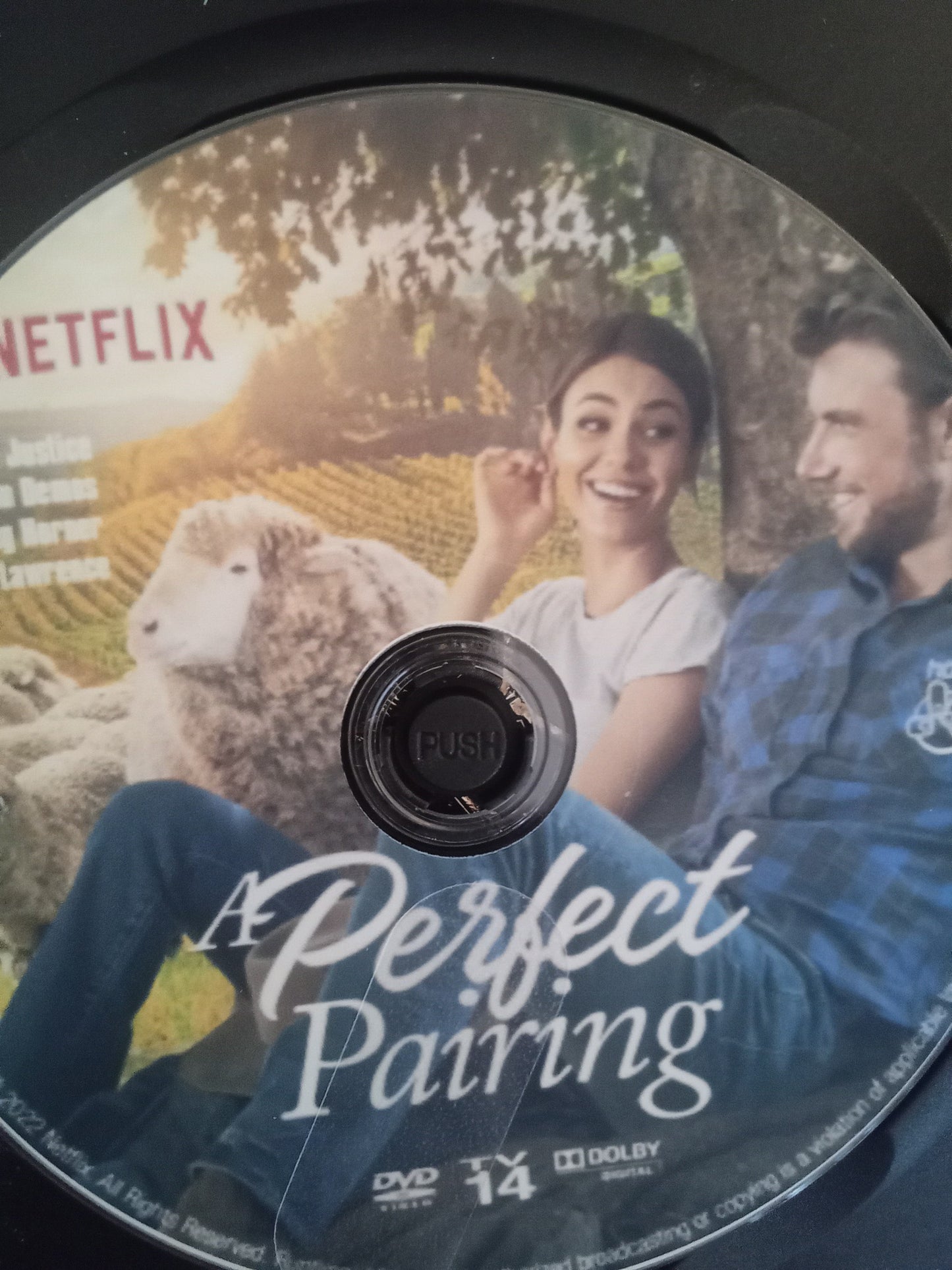 A Perfect Pairing (2022) DVD with Victoria Justice