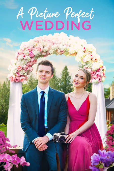 A Picture Perfect Wedding (2021) DVD with Emily Tenant ****CLEARANCE $11 (3 only)