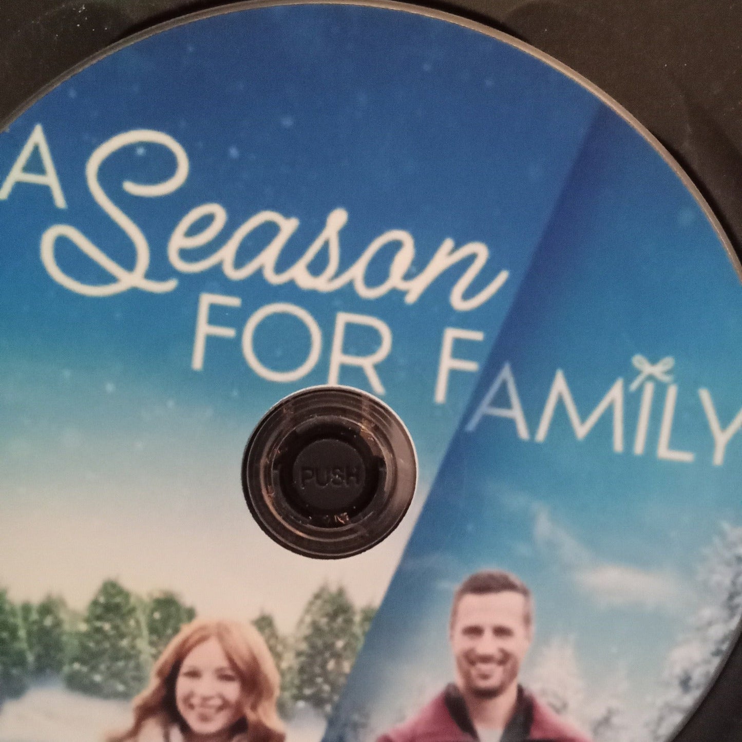 A Season For Family (2023) DVD with Jessica Sipos, Brendan Penny