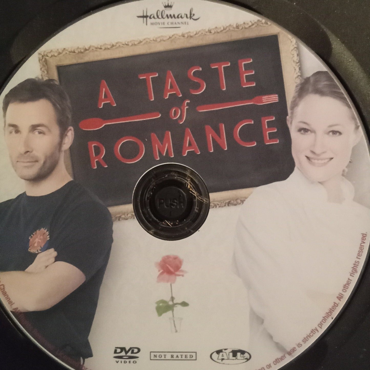 A Taste of Romance (2012) DVD with Teri Polo, Bailee Madison & James Patrick Stuart in a DVD CASE with COVER ART