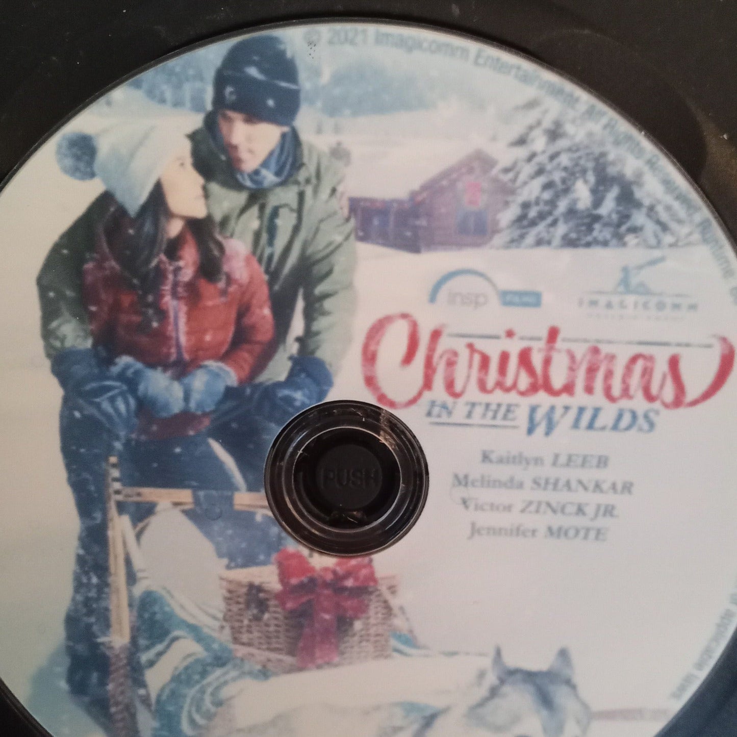 Christmas In the Wilds (2021) DVD with Laura Vandervoort