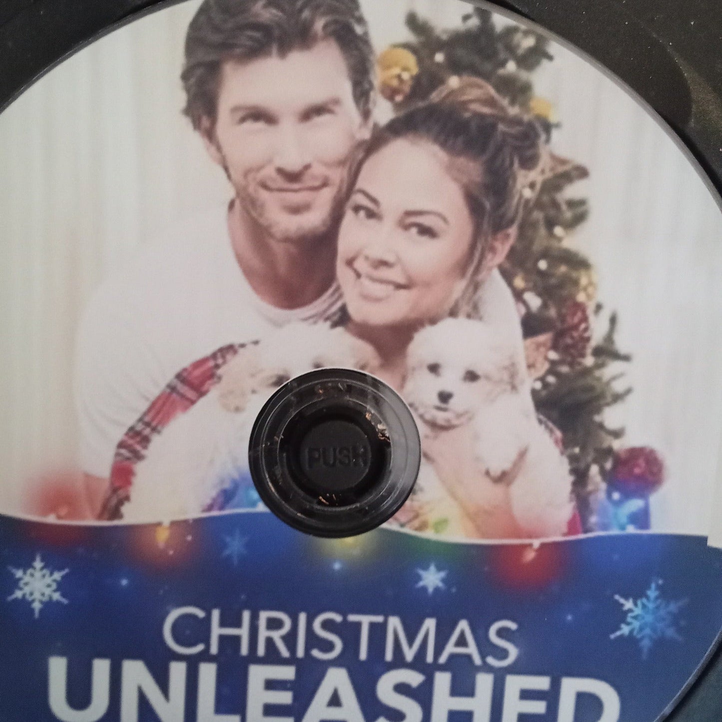 Christmas Unleashed (2019) DVD with Vanessa Lacey & Christopher Russell