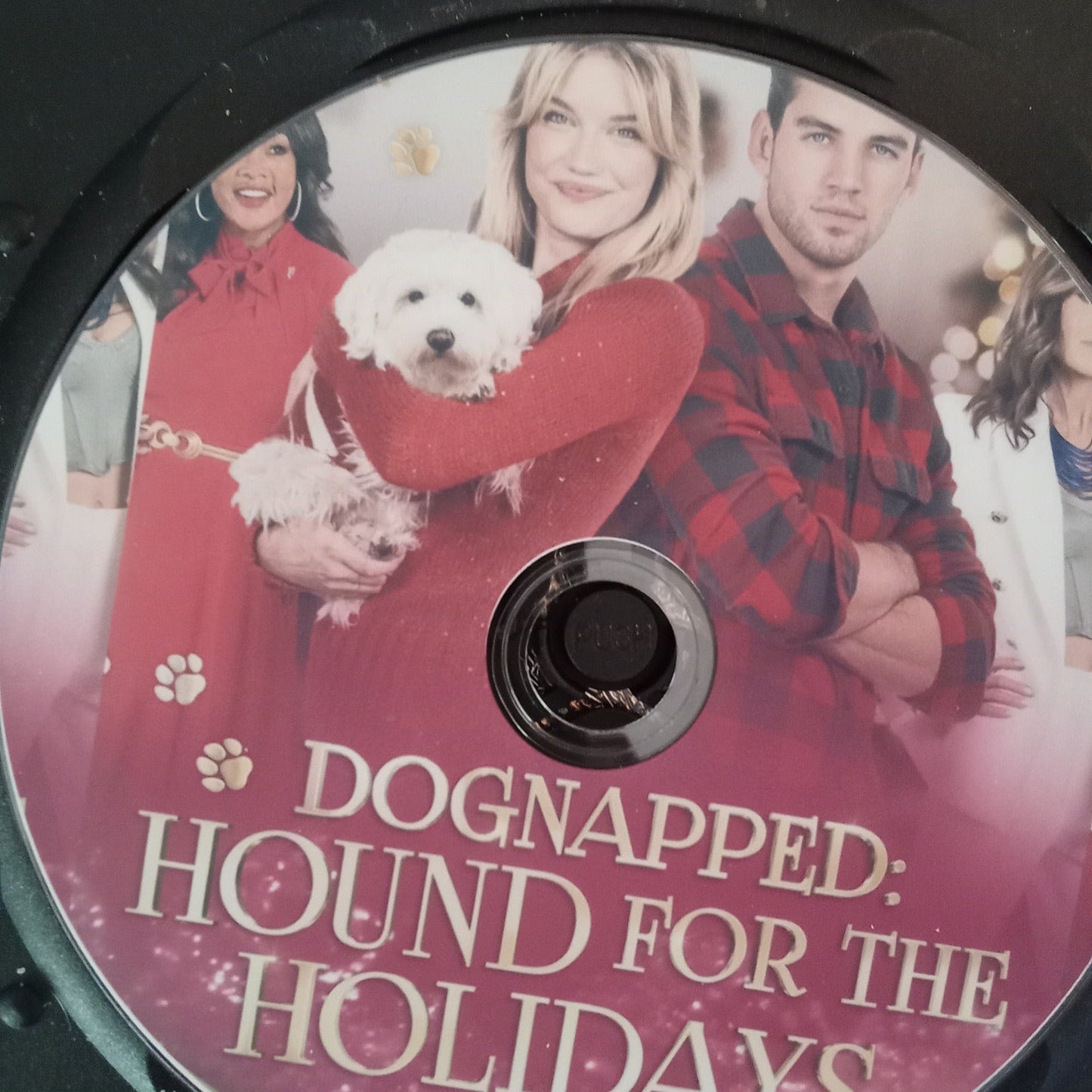 Dognapped: Hound For The Holidays (2022) DVD with Sara Ball & Vivica Fox