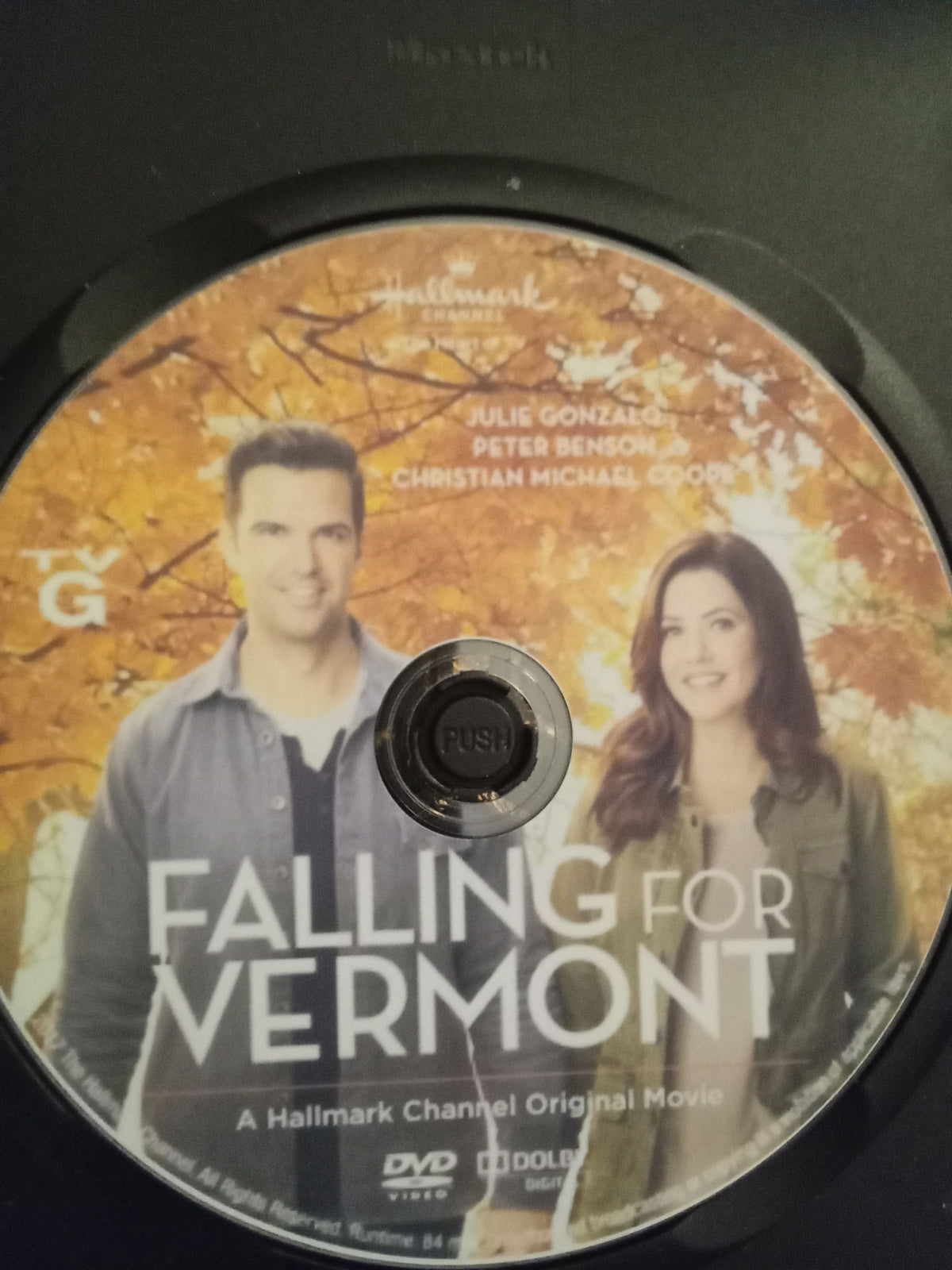Falling For Vermont (2017) DVD with Julie Gonzolo & Benjamin Ayres $11.00 JACKPOT