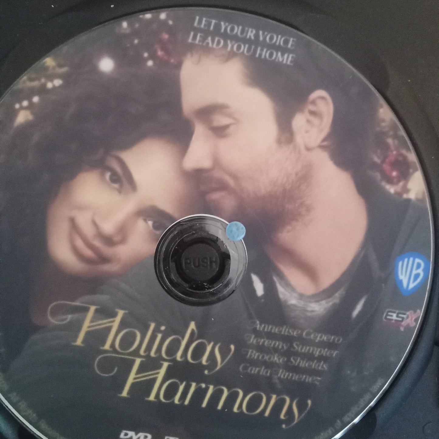 Holiday Harmony (2022) DVD with Jeremy Sumpter