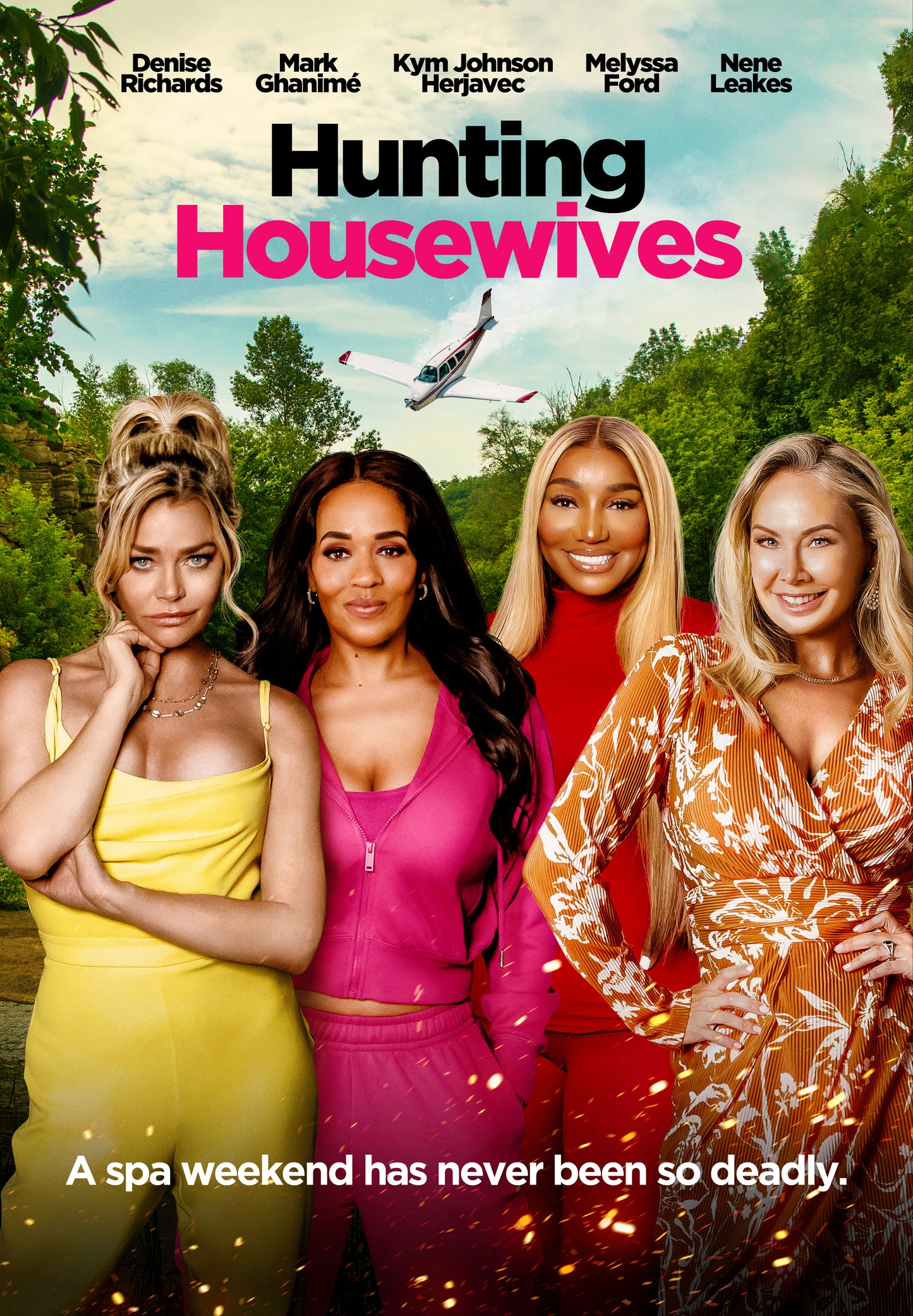 Hunting Housewives (2024) DVD with Denise Richards, Nene Leakes in a DVD CASE with COVER ART