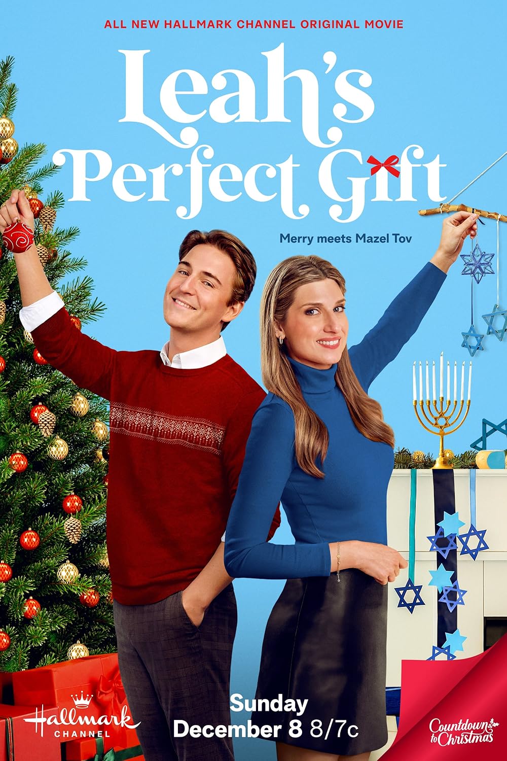 Leah's Perfect Gift (2024) DVD with Barbara Niven in a DVD CASE with COVER ART