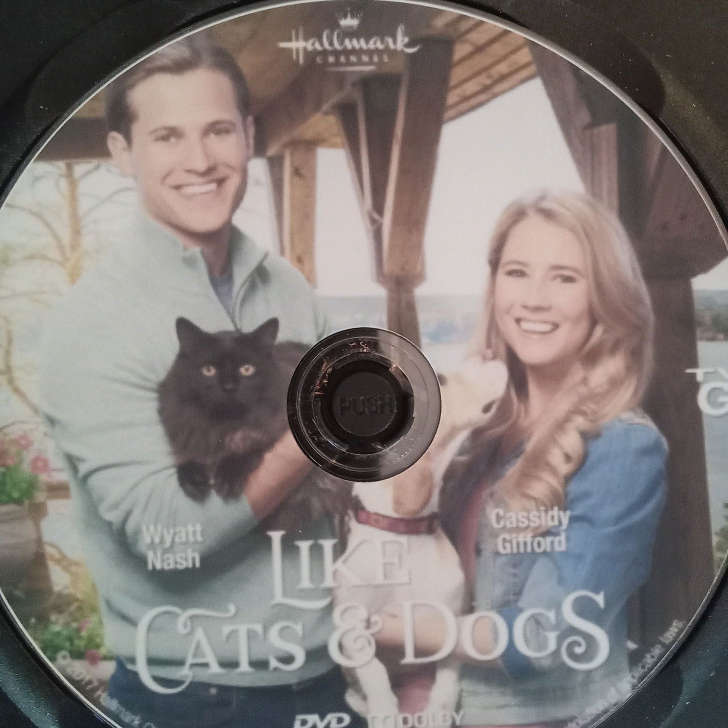 Like Cats & Dogs (2017) DVD with Cassidy Gifford