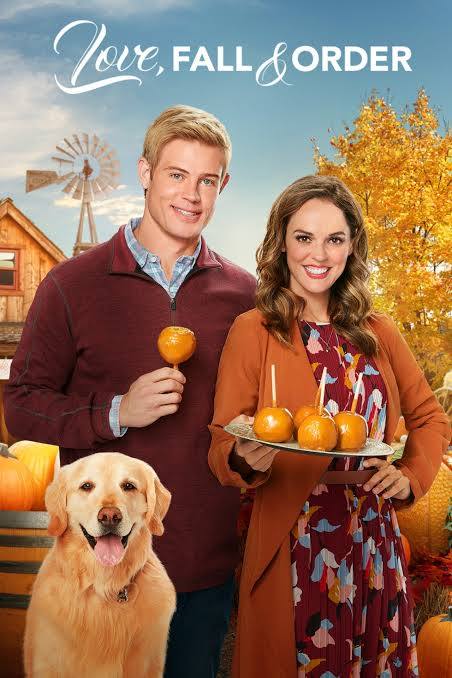 Love, Fall & Order (2019) DVD with Erin Cahil, Trevor Donovan, Gregory Harrison
