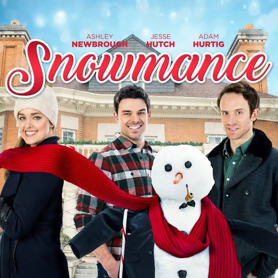 Snowmance (2017) DVD with Ashley Newbrough & Jesse Hutch in a DVD Case with cover art