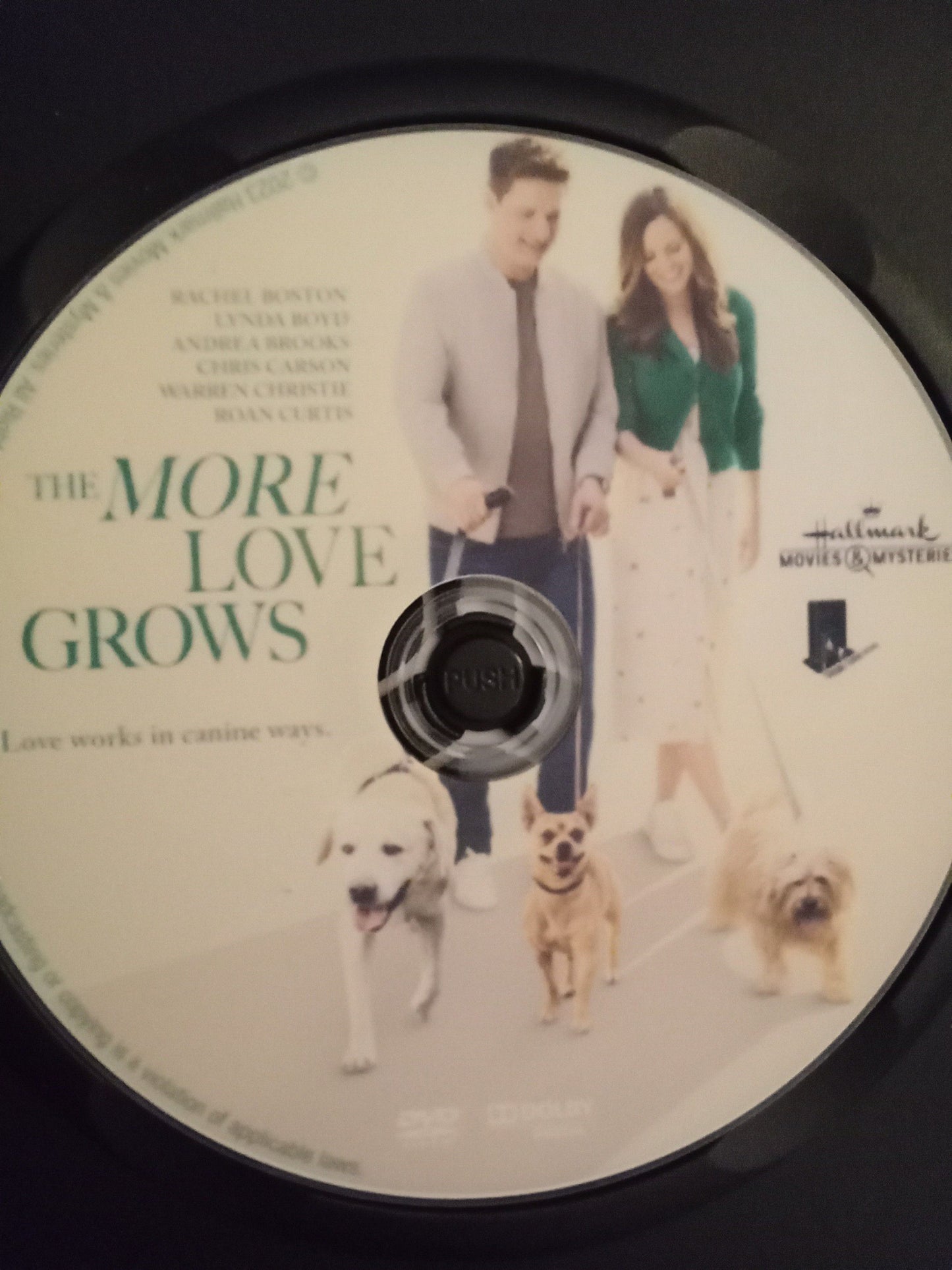 The More Love Grows (2023) DVD with Rachel Boston in a DVD CASE with COVER ART $14.10 CLEARANCE