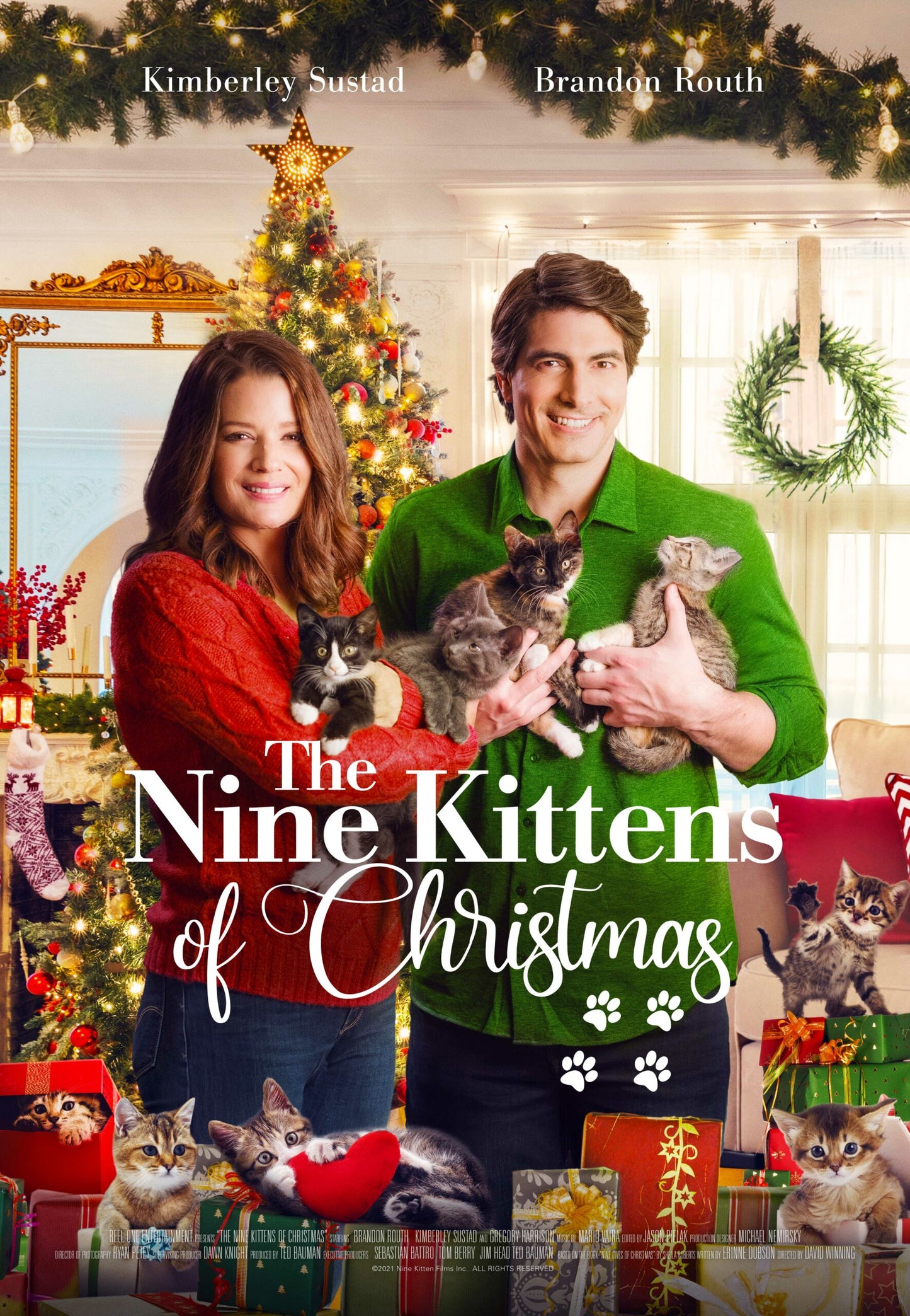 The Nine Lives of Christmas (2014) DVD with Kimberly Sustad, Brandon Routh & Gregory Harrison (TOP 25)
