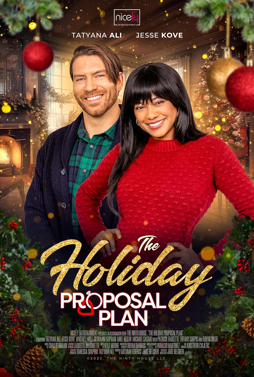 The Holiday Proposal Plan (2023) DVD with Whitney Able