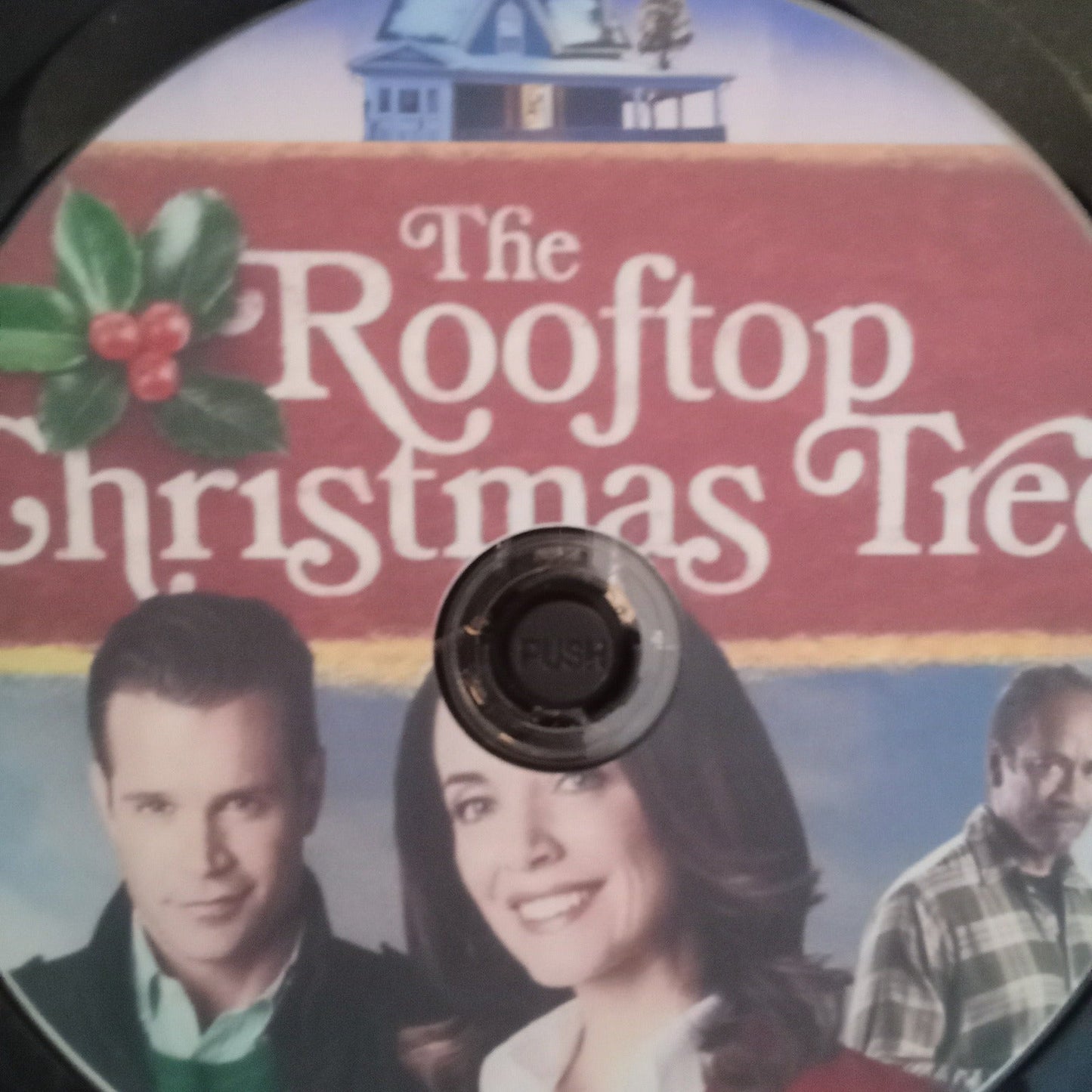 The Rooftop Christmas Tree (2016) DVD with Stephen Huszar