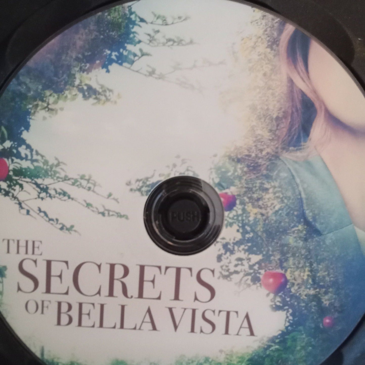 The Secrets of Bella Vista (2022) DVD with Niall Matter