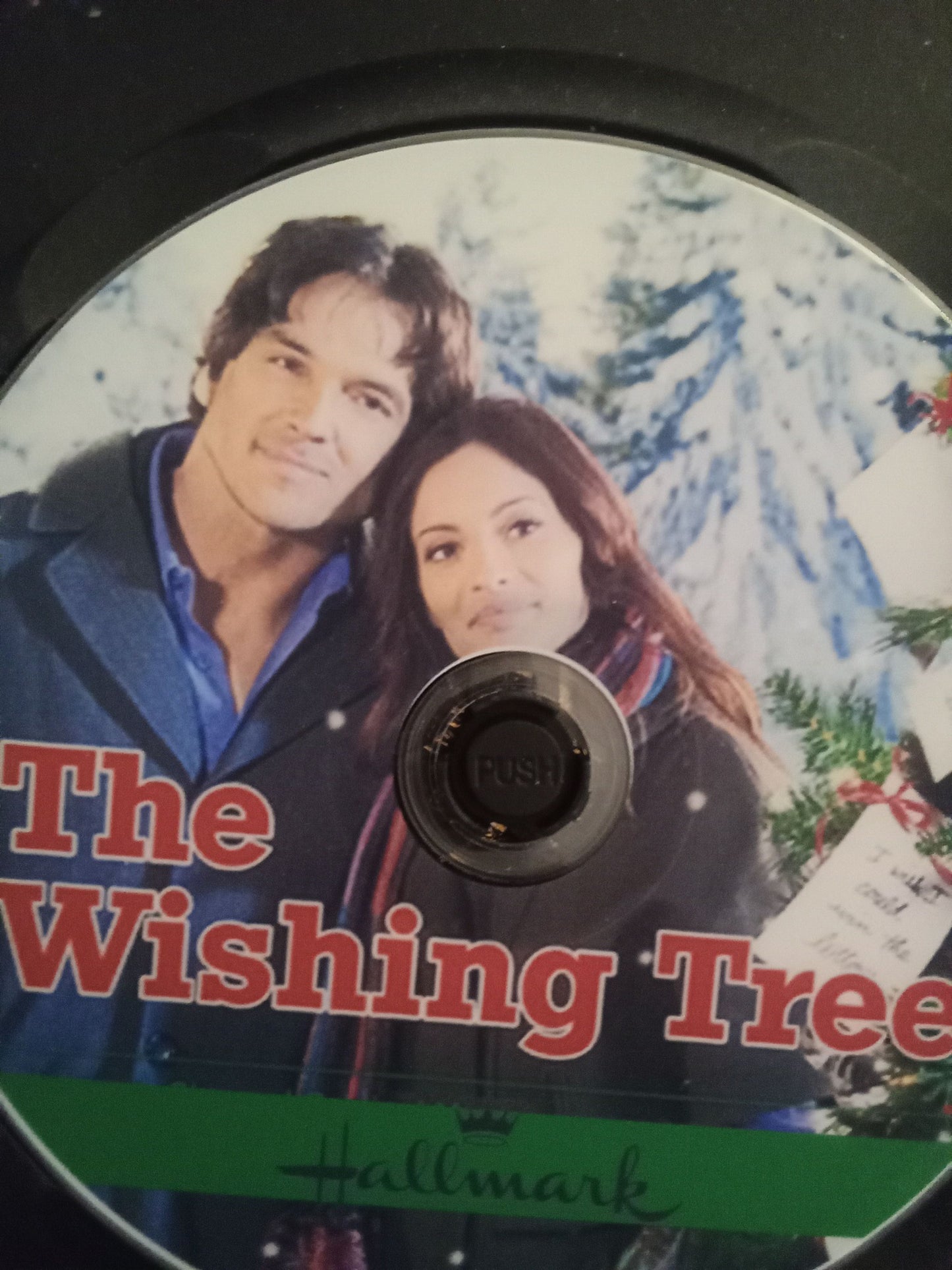 The Wishing Tree (2012) DVD with Erica Cerra