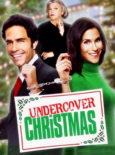 Undercover Christmas (2003) DVD with Jamie Gertz & Shawn Christian in a DVD CASE with COVER ART