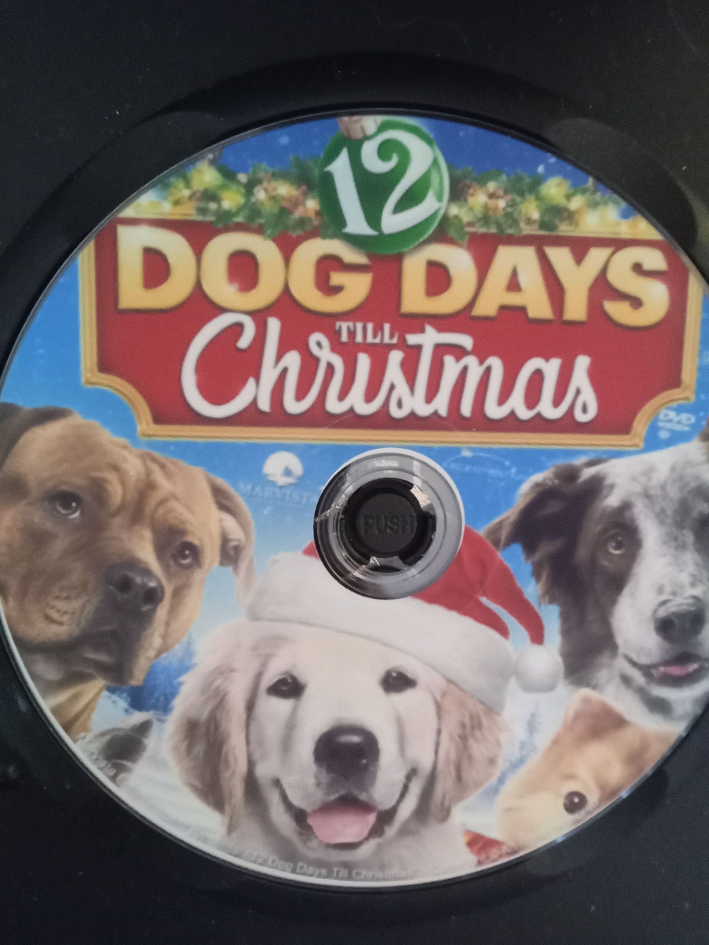 12 Dog Days of Christmas (2014) DVD with Lexi Giavagnoli CLEARANCE $10.00