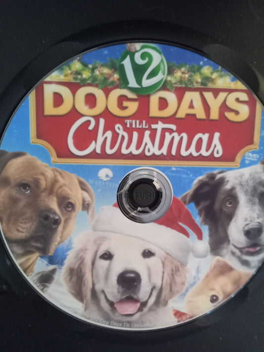 12 Dog Days of Christmas (2014) DVD with Lexi Giavagnoli CLEARANCE $10.00