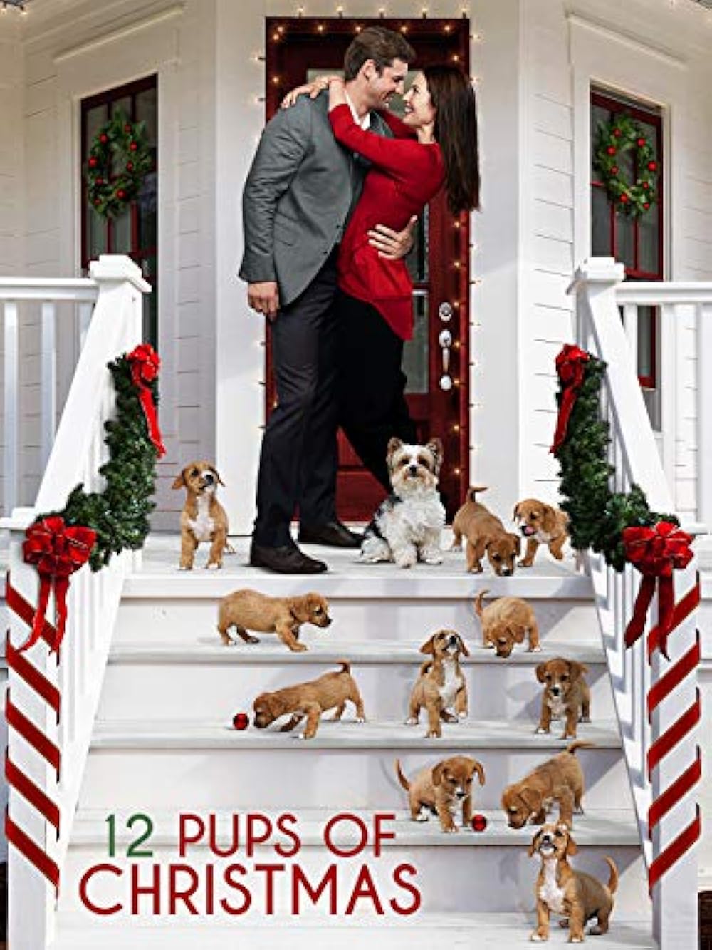 12 Pups of Christmas (2019) DVD with Charlotte Sullivan in a DVD CASE with COVER ART