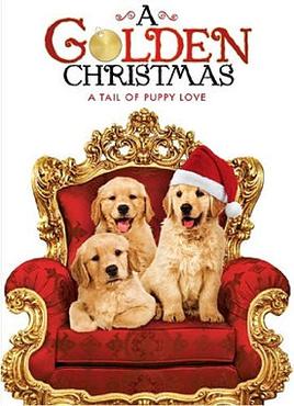 A Golden Christmas (2009) DVD with Elisa Donovan & Bruce Davidson in a DVD Case with the cover art