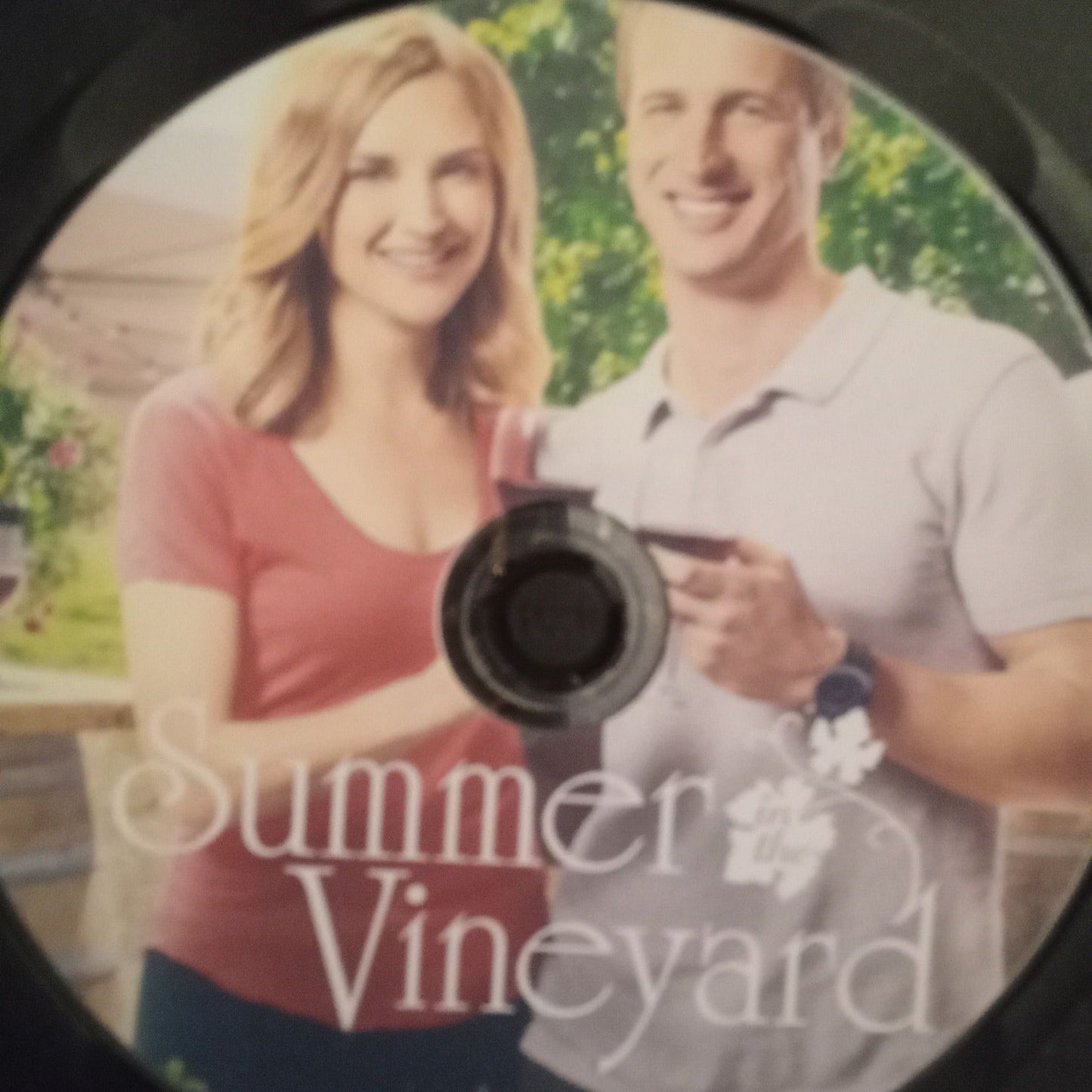 Summer in the Vineyard (2017) DVD with Rachel Leigh Cook & Brendan Penny **SUPER SALE**