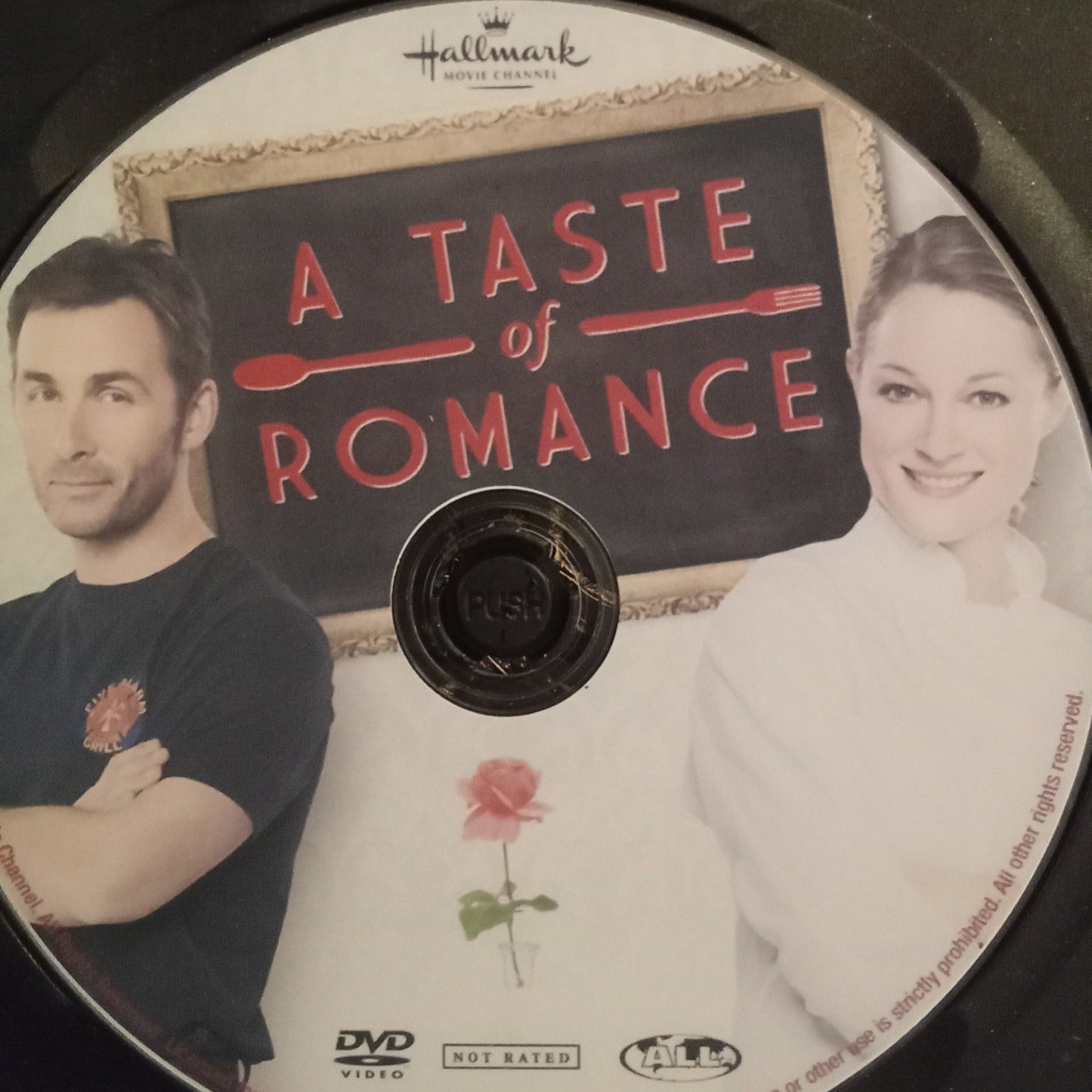 A Taste of Romance (2012) DVD with Teri Polo, Bailee Madison & James Patrick Stuart