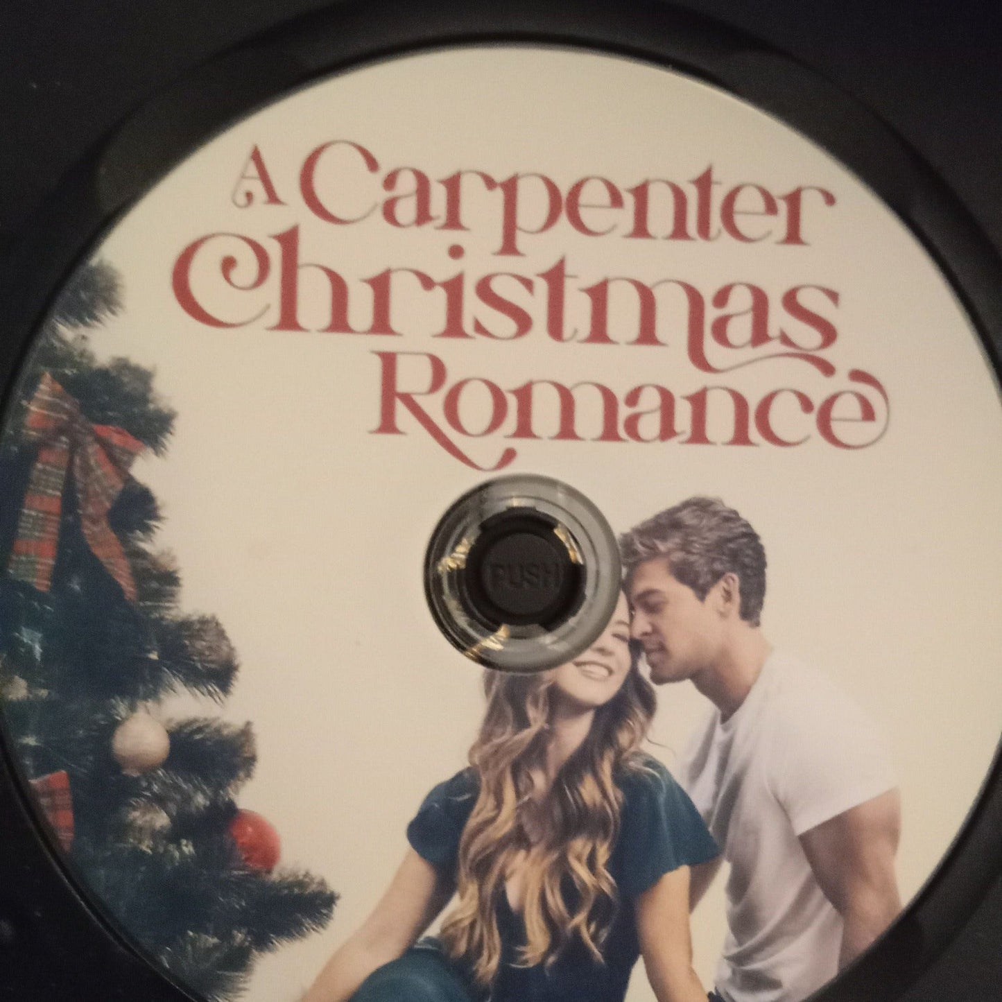 A Carpenters Christmas Romance (2024) DVD with Mitchell Staggert **Sale**