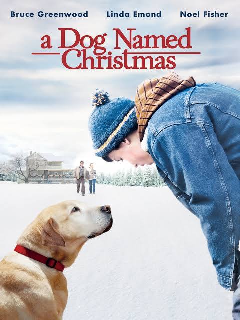 A Dog Named Christmas (2009) DVD with  Noel Fisher