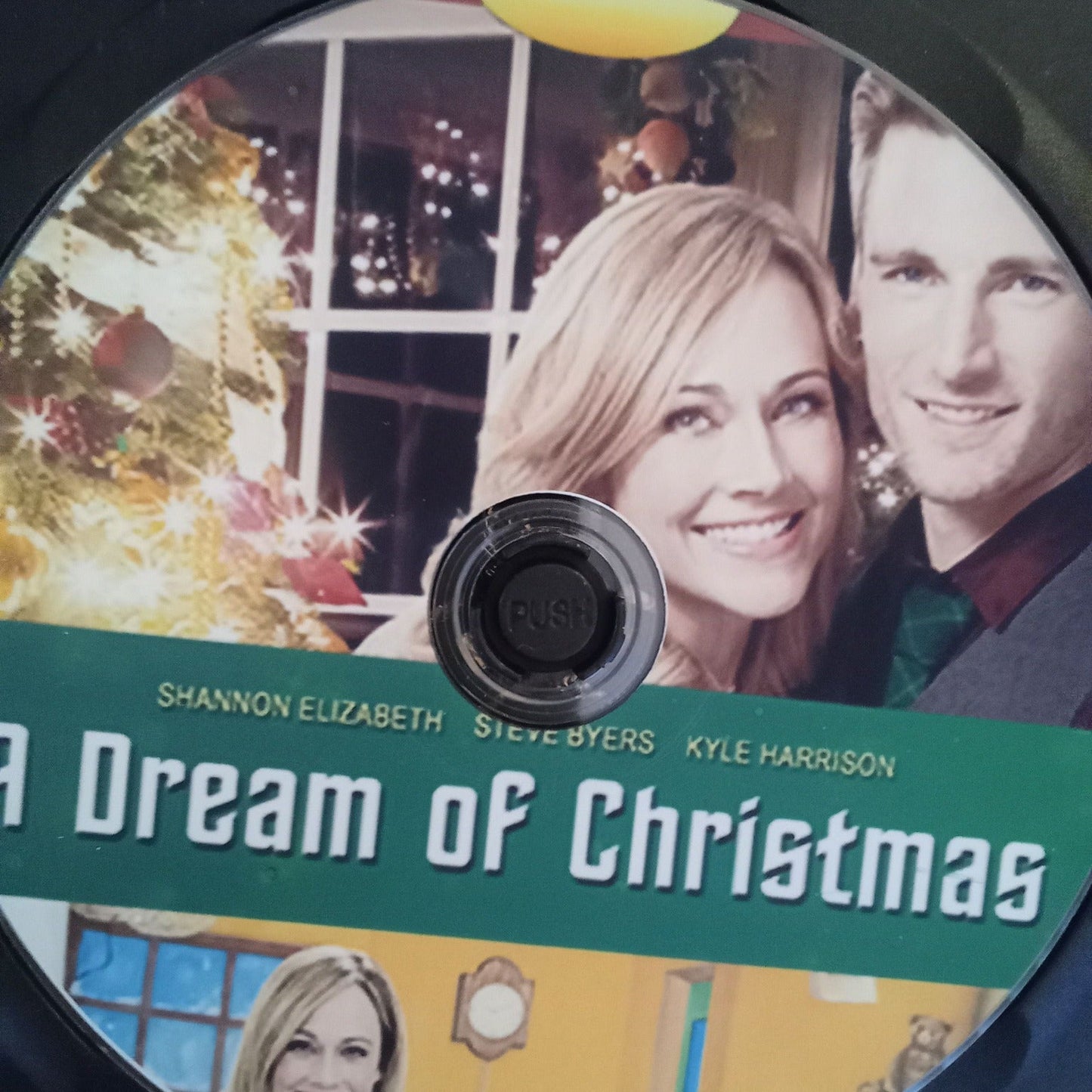 A Dream of Christmas (2016) DVD with Andrew Walker & Nikki DeLoach *****BLOWOUT****