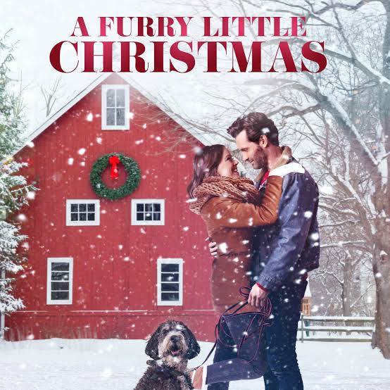 A Furry Little Christmas (2021) DVD with Kristi Murdock & Jonathan Stoddard in a DVD CASE with COVER ART