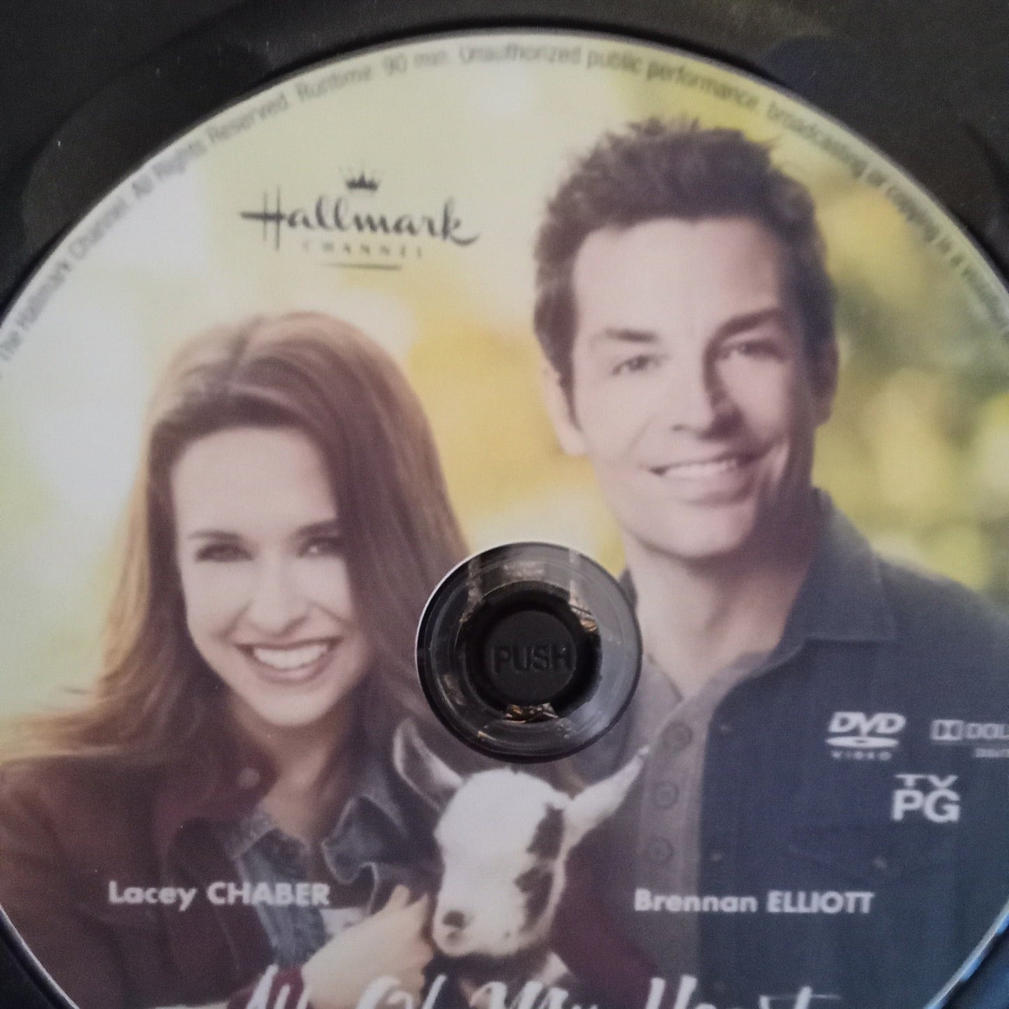 All of My Heart Inn Love (2017) DVD with Lacey Chabert & Brennan Elliott