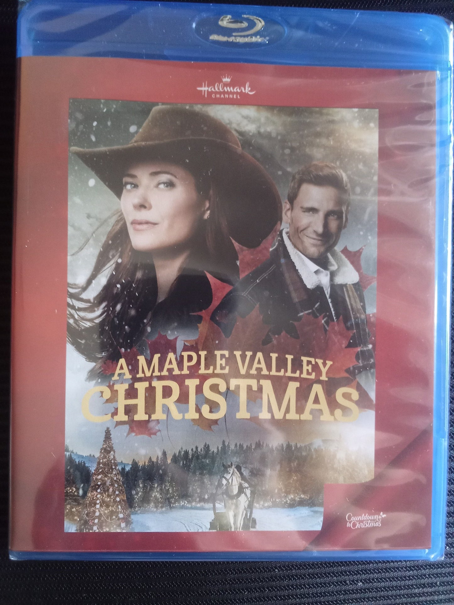 A Maple Valley Christmas (2023) DVD with Andrew Walker BLURAY **Overbought Stock** NEW/Shrinkwrapped