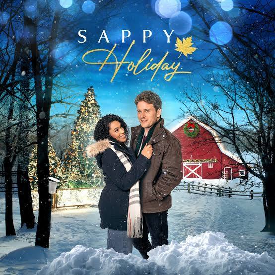 A Sappy Holiday (2022) DVD with Jon McLaren**HUGE SALE $10.99