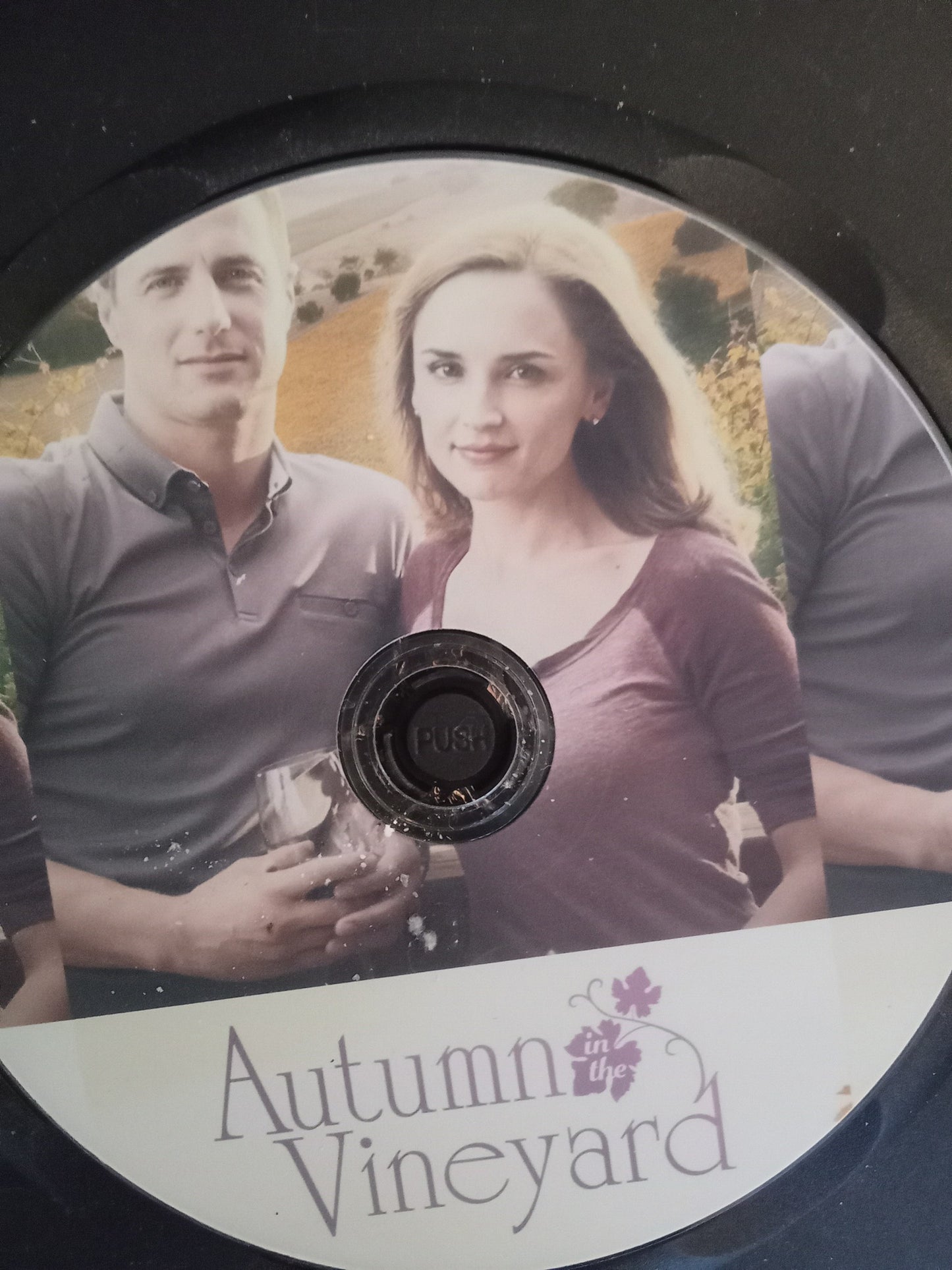 Autumn In the Vineyard (2016) DVD with Rachel Leigh Cook & Brendan Penny