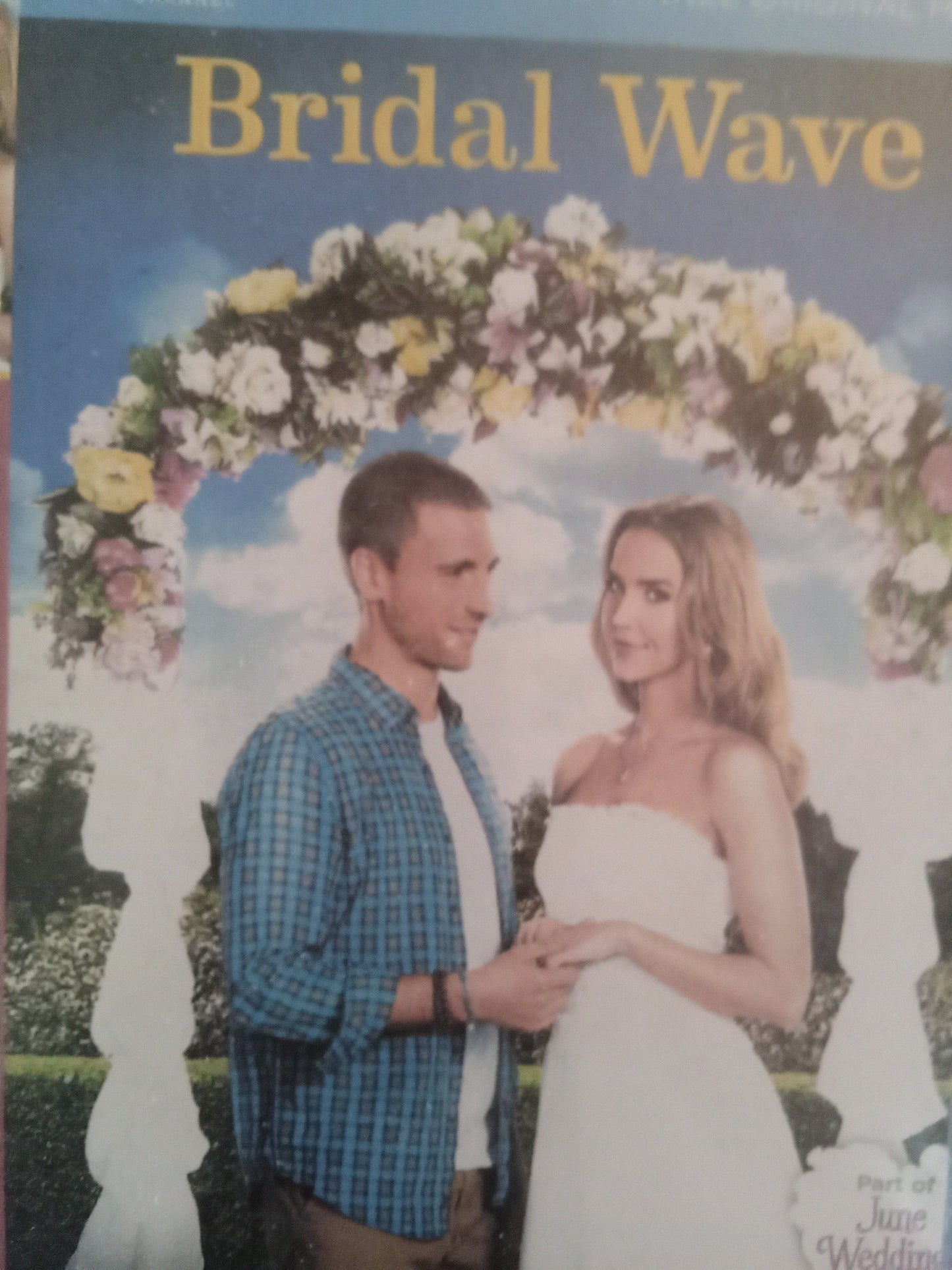 BridalWave (2015) DVD with Jaclyn Smith & Andrew Walker in a DVD CASE with the cover art