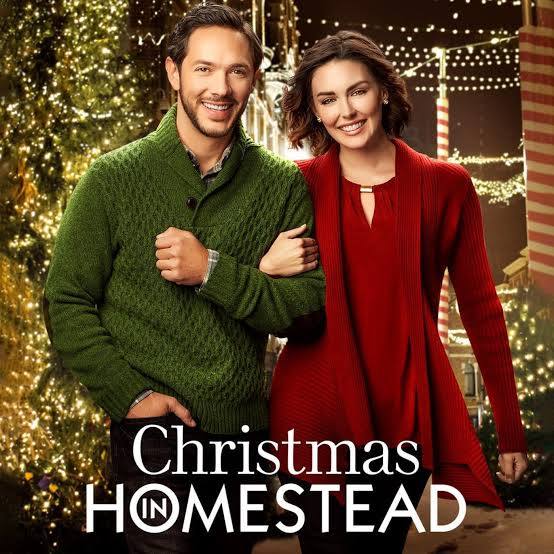 Christmas in Homestead (2016) DVD with Taylor Cole & Michael Rady