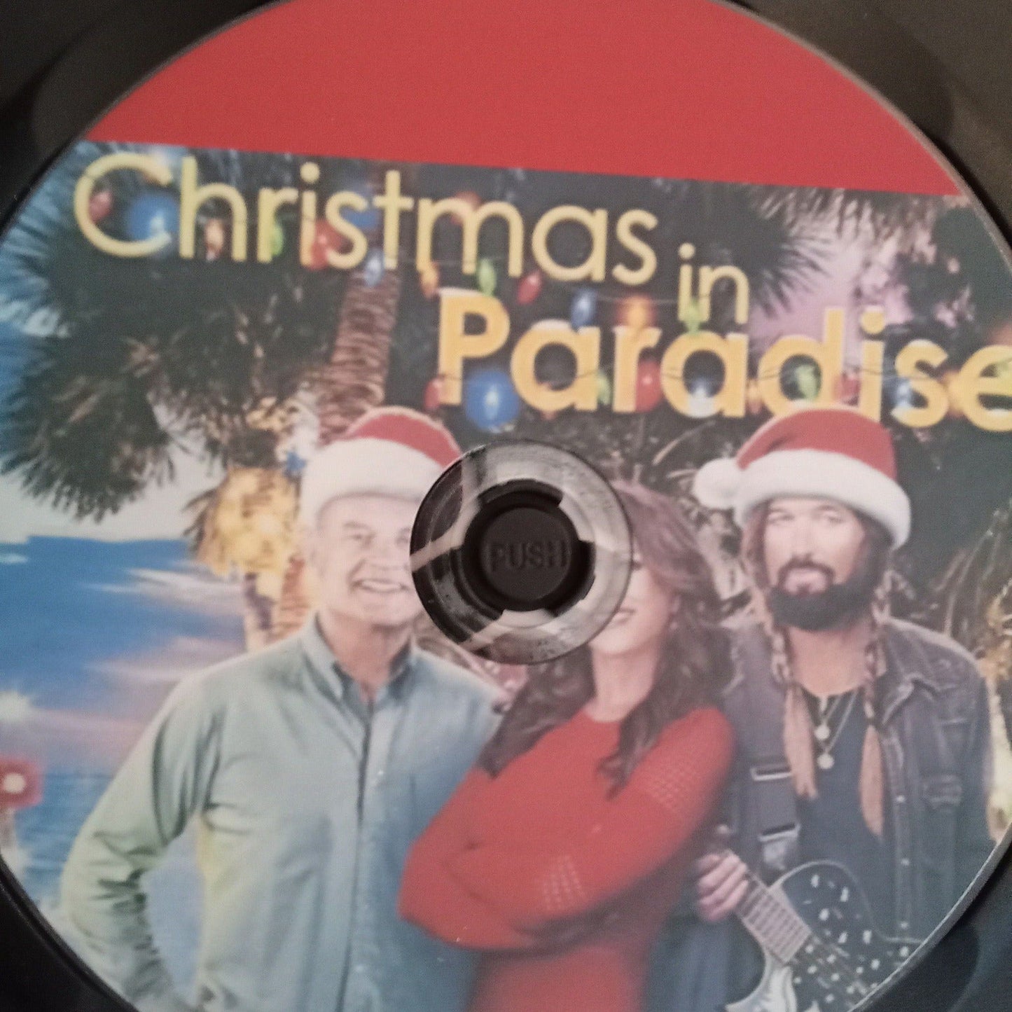 Christmas in Paradise (2022) DVD with Kelsey Grammar