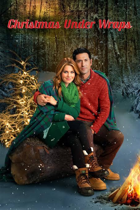 Christmas Under Wraps (2014) DVD with Candace Cameron Bure & David O'Donnell
