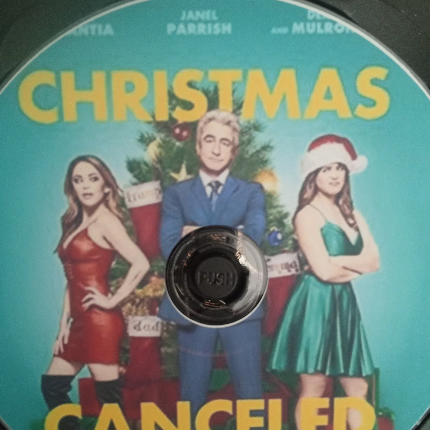 Christmas Is Canceled (2021) DVD with Dermont Mulroney
